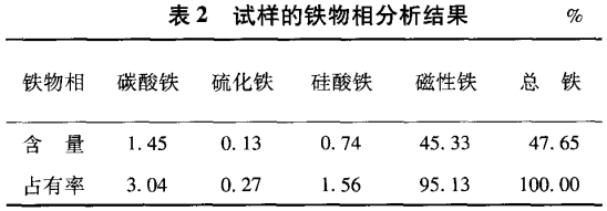 试样的铁物相分析结果