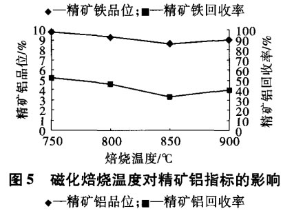 磁化焙烧温度对精矿铝指标的影响